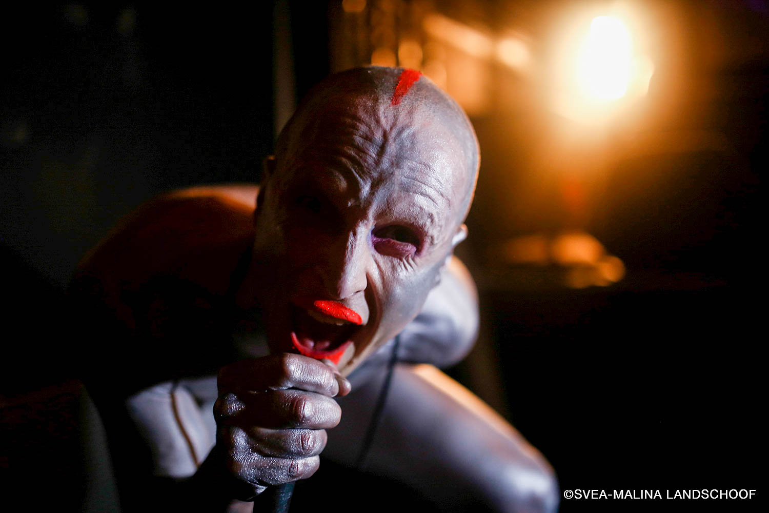 heynaz (performers)